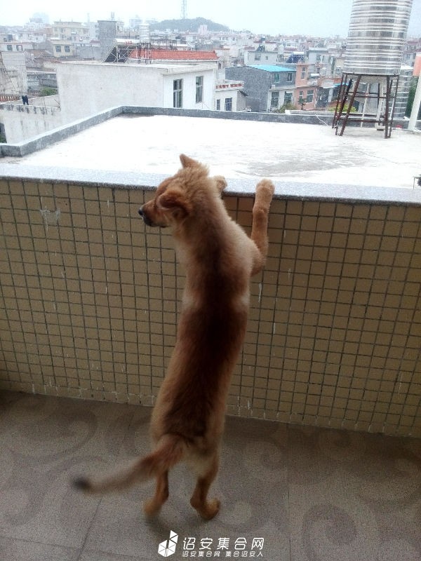 5169