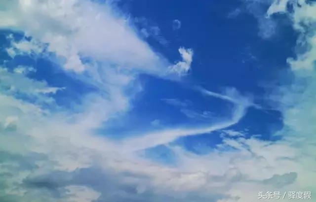 微信图片_20170721163804.jpg