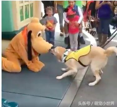 微信图片_20170721171953.jpg