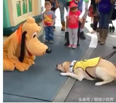 微信图片_20170721171958.jpg