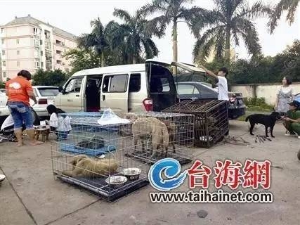 微信图片_20170722105746.jpg