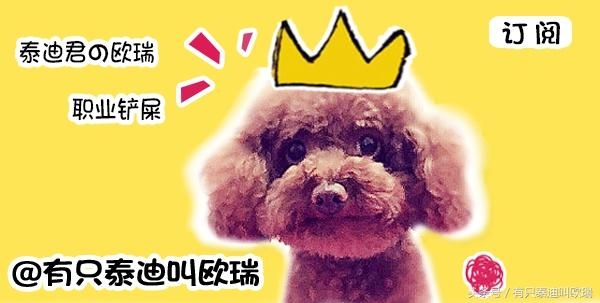 微信图片_20170728102013.jpg