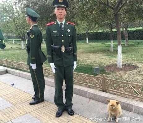 微信图片_20170728102024.jpg