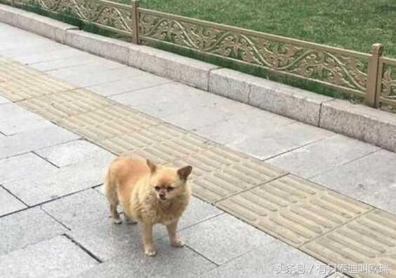 微信图片_20170728102029.jpg
