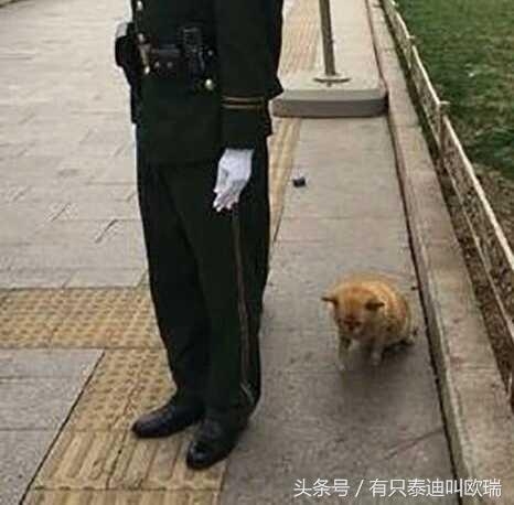 微信图片_20170728102033.jpg