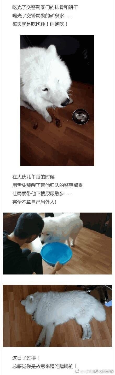 微信图片_20170731110358.jpg