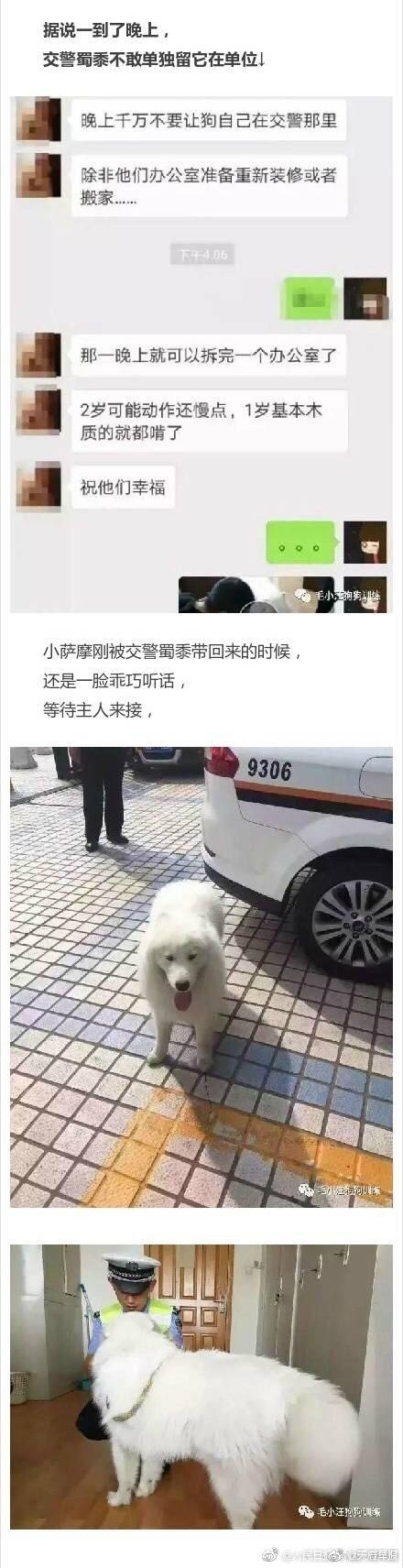 微信图片_20170731110416.jpg