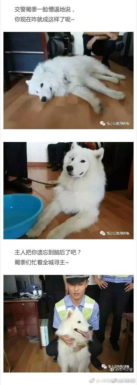 微信图片_20170731111249.jpg