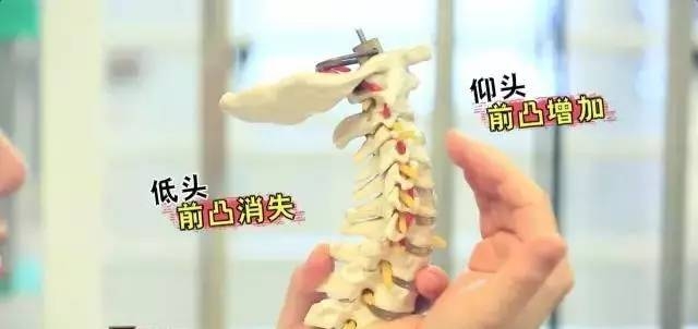微信图片_20170801095344.jpg