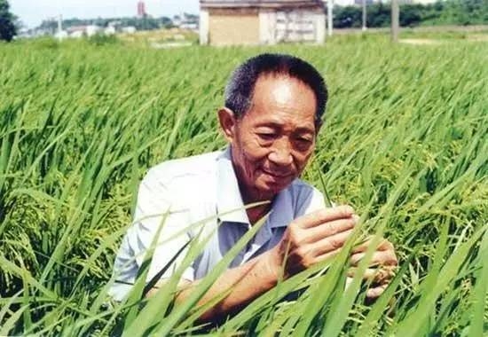 微信图片_20170802101058.jpg