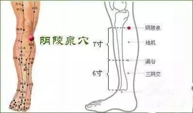 微信图片_20170808105042.jpg