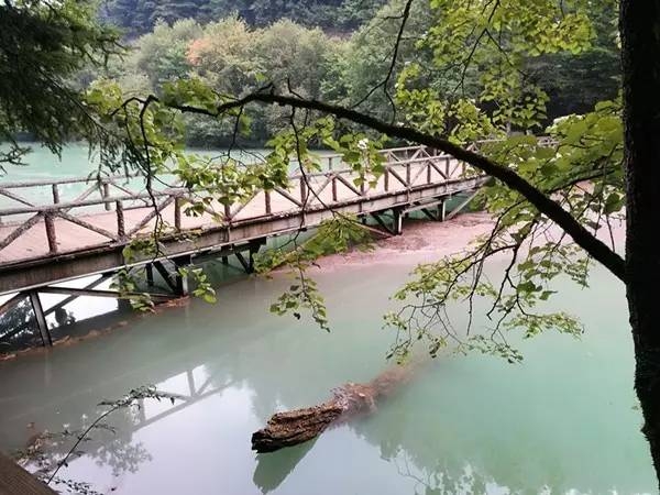 微信图片_20170810095712.jpg