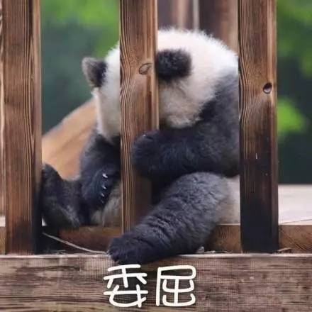 微信图片_20170812150803.jpg