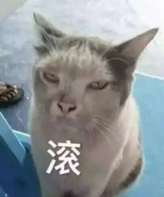 微信图片_20170812150856.jpg