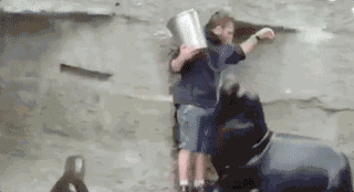 微信图片_20170812163030.gif