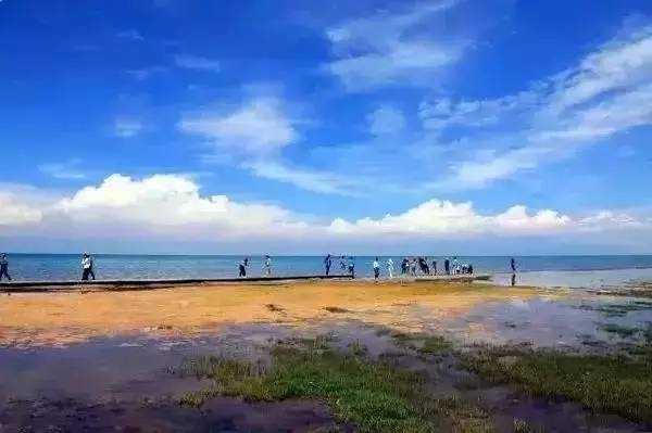 微信图片_20170814173049.jpg